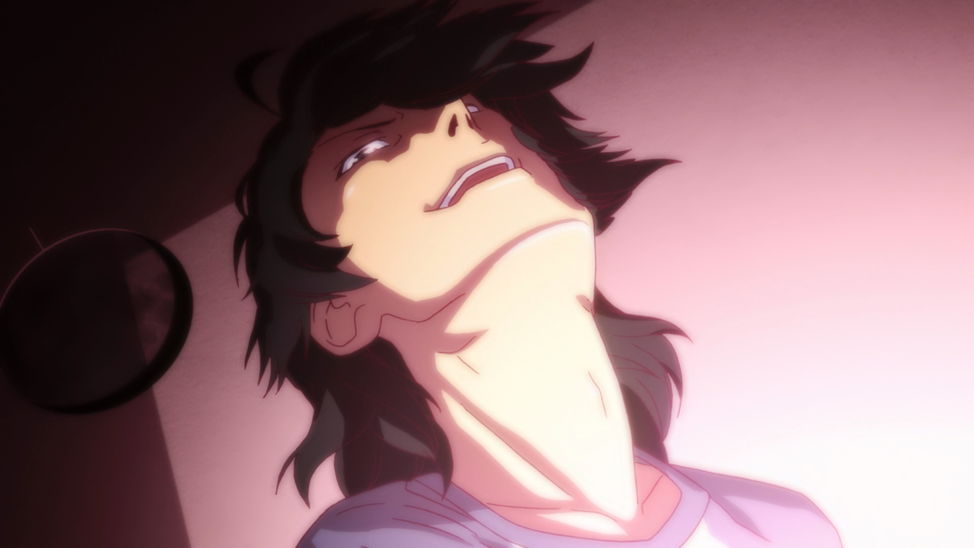 Nisemonogatari (Japan Universe)